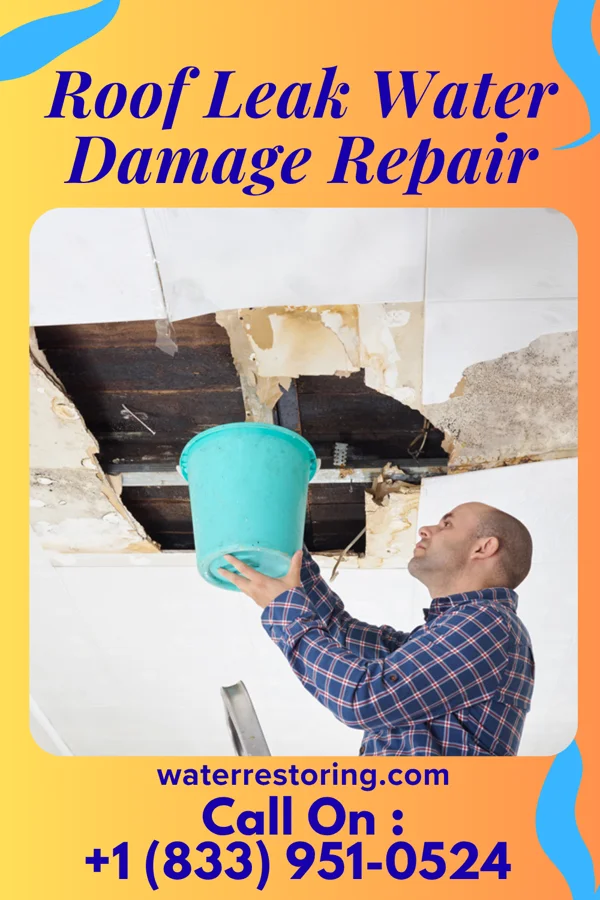Roof Leak Water Damage Repair in North Sioux City, SD