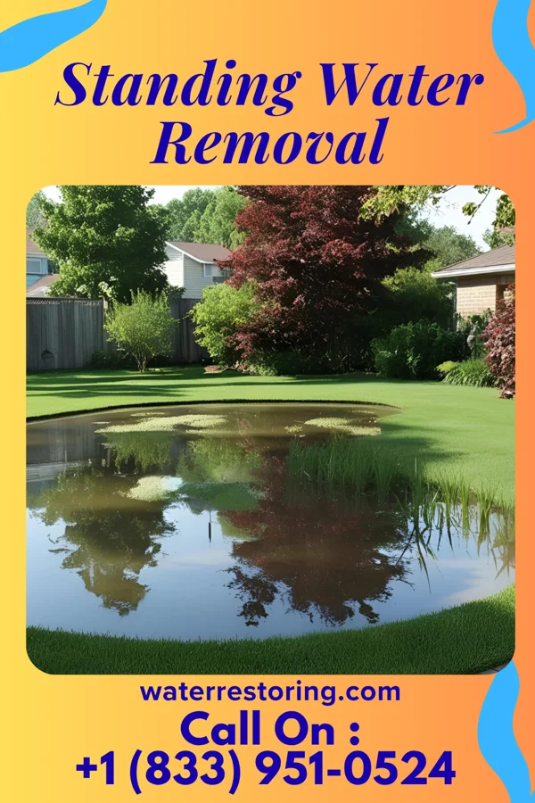Standing Water Removal in North Sioux City, SD